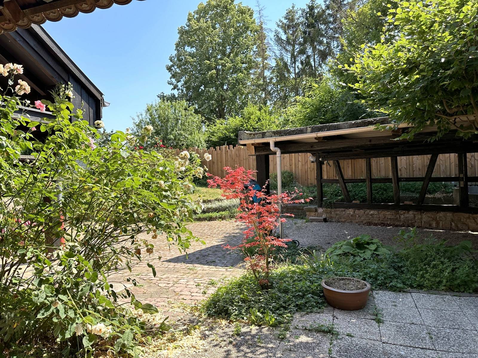 NOUVEAU PRIX - ENTZHEIM – MAISON ALSACIENNE 240 M² – GRANDS VOLUMES  TERRAIN 5,83 ARES