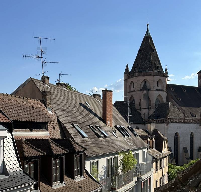 STRASBOURG CENTRE HISTORIQUE – PROX. PLACE ST THOMAS/FAC DE MEDECINE – FAC DE MEDECINE – DERNIER ETAGE - APPARTEMENT 2/3 PIECES – 54 M² CARREZ / 75 M² AU SOL -