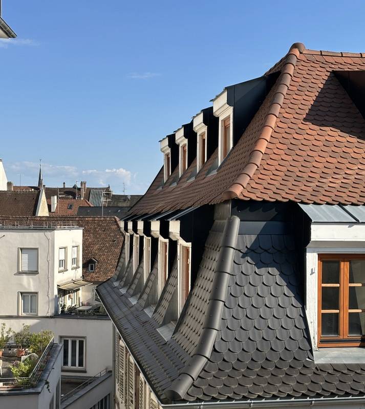 STRASBOURG CENTRE HISTORIQUE – PROX. PLACE ST THOMAS/FAC DE MEDECINE – FAC DE MEDECINE – DERNIER ETAGE - APPARTEMENT 2/3 PIECES – 54 M² CARREZ / 75 M² AU SOL -