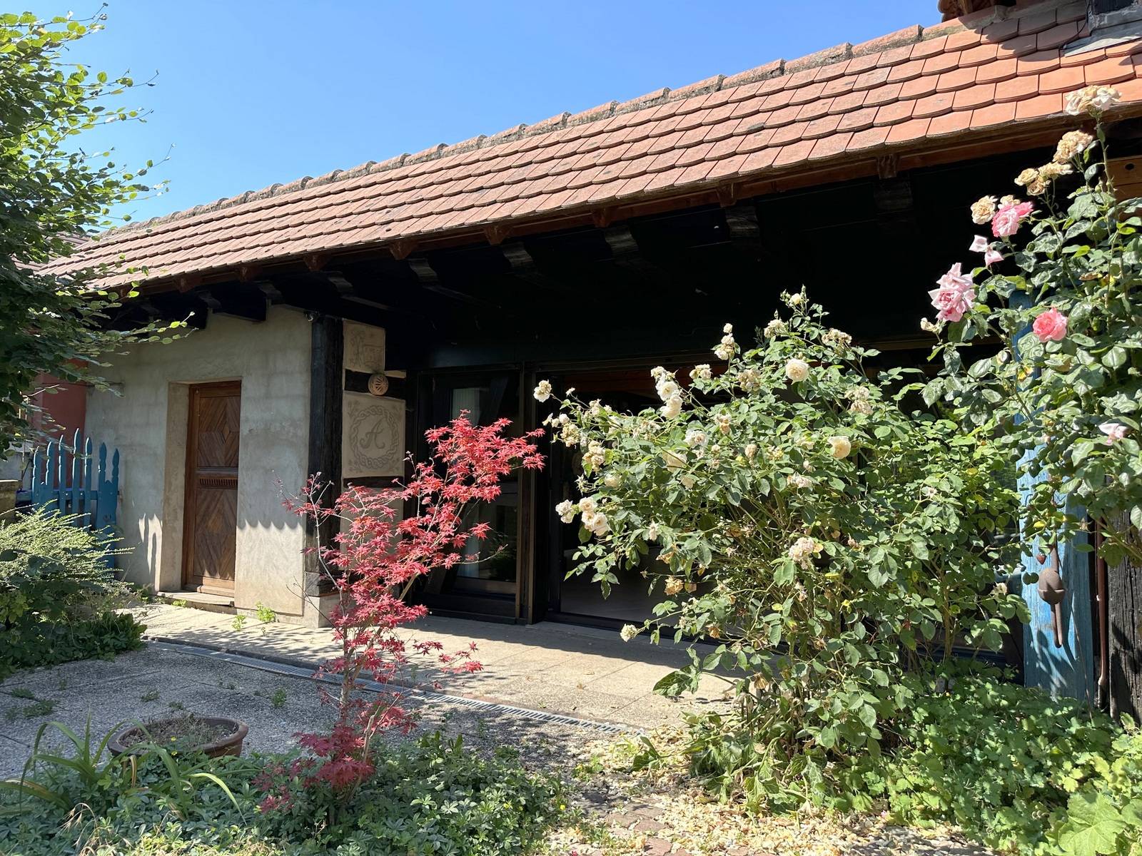 NOUVEAU PRIX - ENTZHEIM – MAISON ALSACIENNE 240 M² – GRANDS VOLUMES  TERRAIN 5,83 ARES