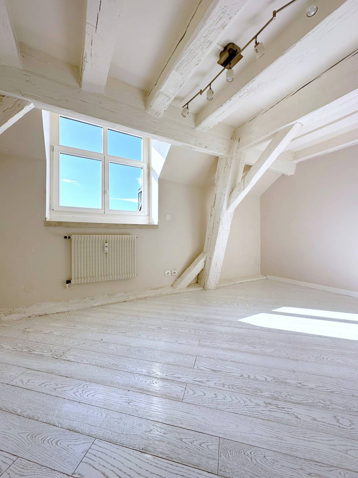 VENDU - RARE – STRASBOURG - CENTRE HISTORIQUE PETITE FRANCE VUE DEGAGEE EAU – DERNIER ETAGE - APPARTEMENT 5 PIECES 129 M².