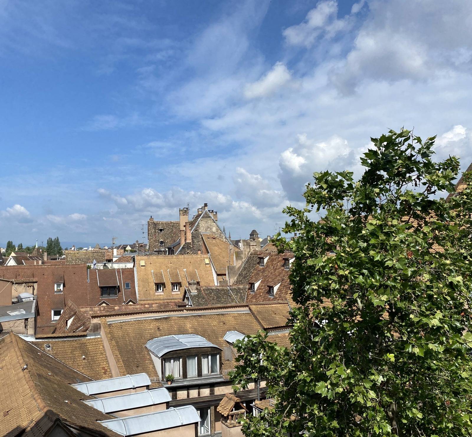 VENDU - HYPER CENTRE APPARTEMENT 6 PIECES 127M² ETAGE ELEVE PRESTATIONS HAUT DE GAMME ET RAFFINEES