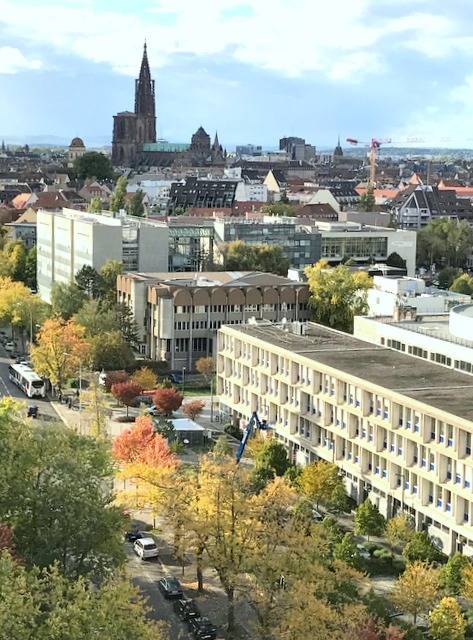 Studio vue cathédrale