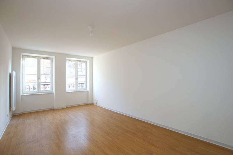 STRASBOURG – CENTRE VILLE CATHEDRALE – BEAU STUDIO 28,5 m² - RARE DPE C - ENTIEREMENT REPEINT –- IMMEUBLE 19ème