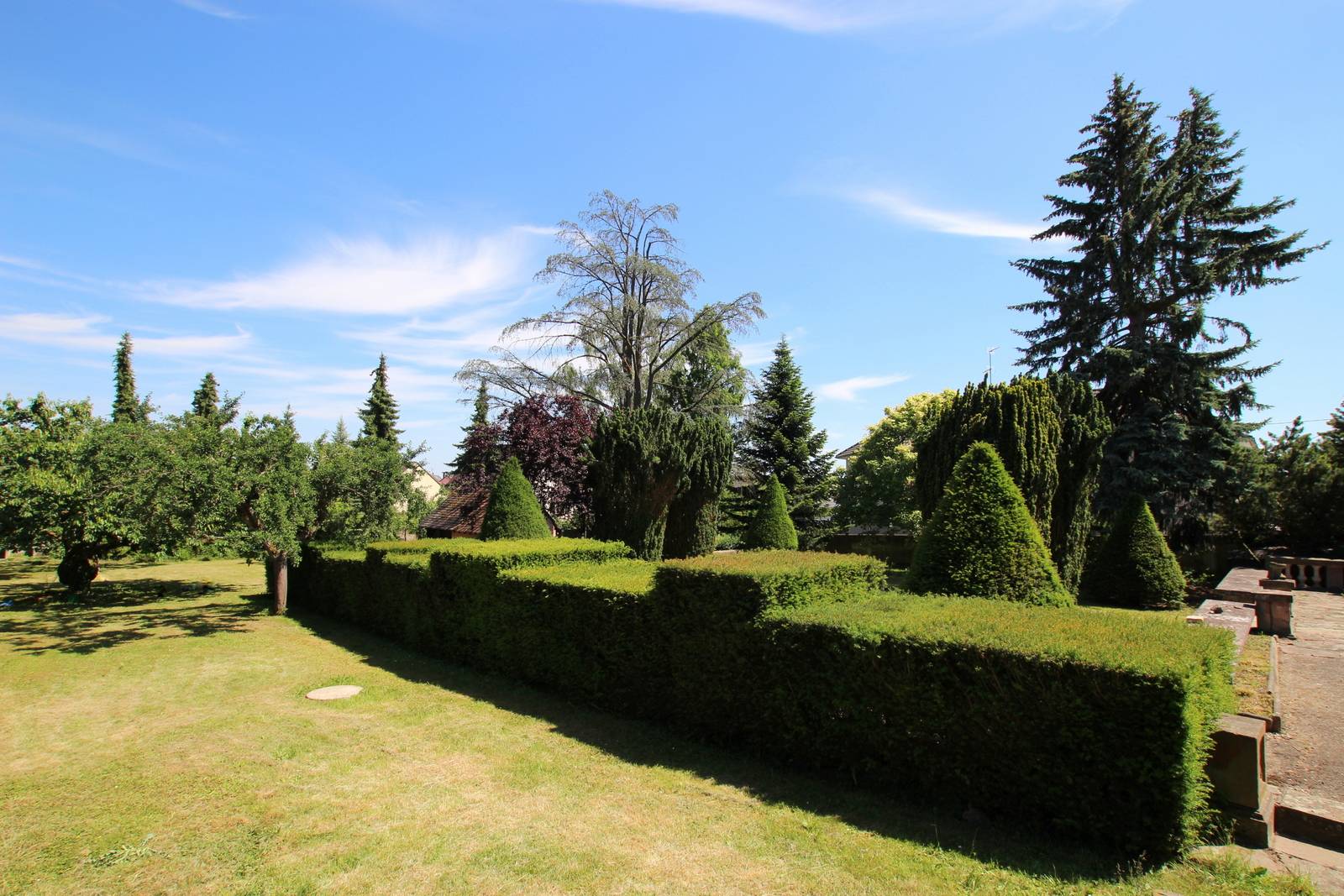 OBERSCHAEFFOLSHEIM - MAISON 243 m² AVEC GRAND JARDIN ARBORE ET PAYSAGE