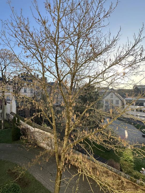 STRASBOURG RESIDENCE SENIOR « LES JARDINS D’ALSACE » - BEAU 2 PIECES 51 m² - ENTIEREMENT REPEINT - CAVE ET PARKING