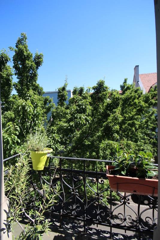 LOUE - STRASBOURG – ORANGERIE – APPARTEMENT BOURGEOIS 5 PIECES – ENTIEREMENT RENOVE – ASCENSEUR - CAVE