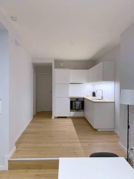 LOUE - STRASBOURG Hyper-centre, Rue d’Austerlitz, appartement meublé 2 Pièces 53, 65 m²