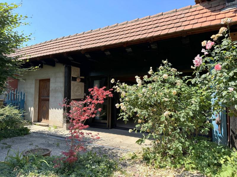 NOUVEAU PRIX - ENTZHEIM – MAISON ALSACIENNE 240 M² – GRANDS VOLUMES  TERRAIN 5,83 ARES