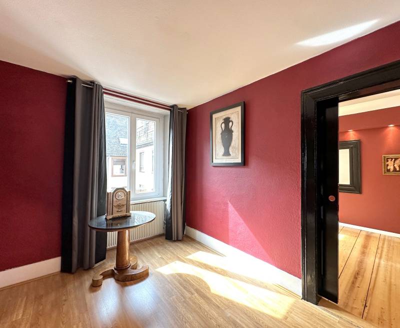 SOUS OFFRE  - STRASBOURG CENTRE VILLE - QUAI DES PECHEURS – DERNIER ETAGE - SUPERBE APPARTEMENT 176 M² AVEC TERRASSE 45 M² VEGETALISEE ET STATIONNEMENT