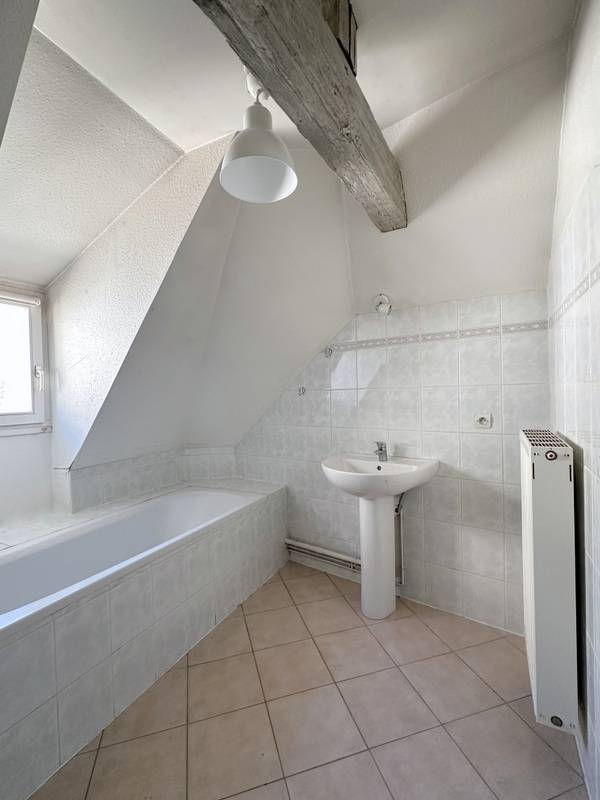 STRASBOURG CENTRE HISTORIQUE – PROX. PLACE ST THOMAS/FAC DE MEDECINE – FAC DE MEDECINE – DERNIER ETAGE - APPARTEMENT 2/3 PIECES – 54 M² CARREZ / 75 M² AU SOL -