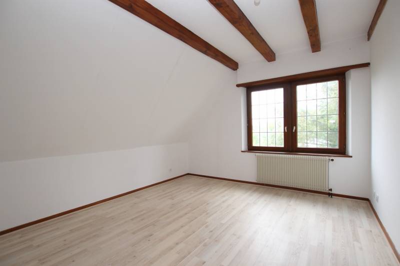 LA WANTZENAU VILLAGE - MAISON 223 m² AVEC GRAND JARDIN ARBORE ET PAYSAGE 17 ARES