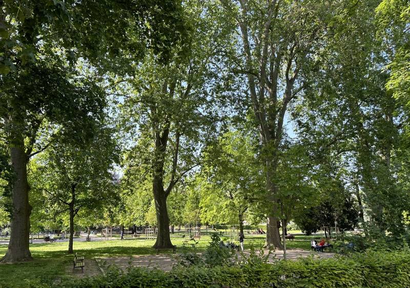 LOUE - STRASBOURG PARC DES CONTADES - APPARTEMENT 5 PIECES – VUE PARC – 151,30 m² – 2 TERRASSES – GARAGE - CAVE