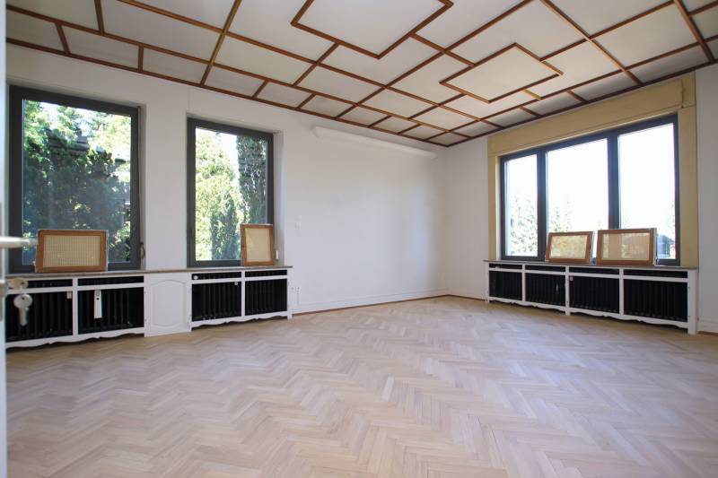 LOUE - OBERSCHAEFFOLSHEIM - MAISON 243 m² AVEC GRAND JARDIN ARBORE ET PAYSAGE