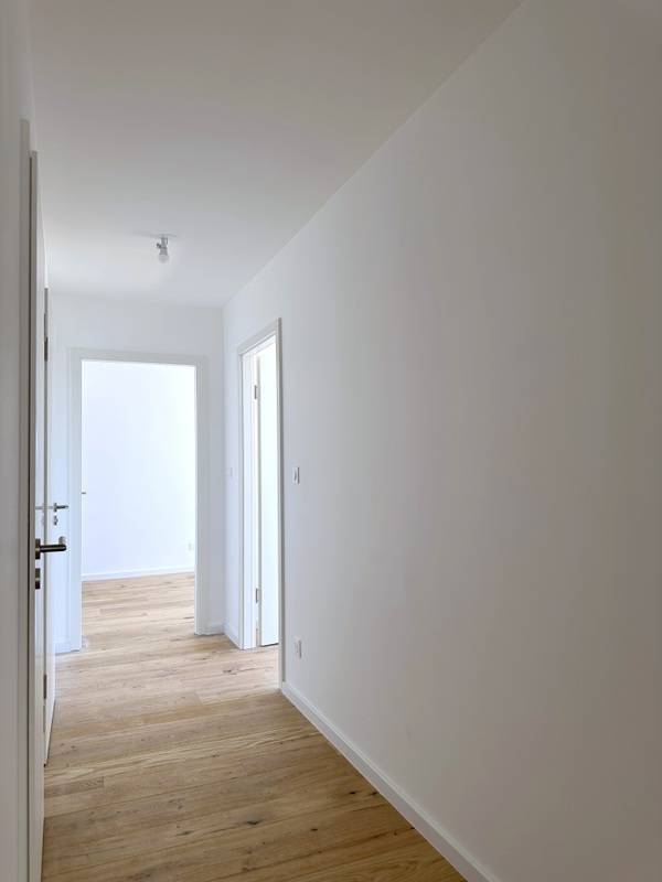 STRASBOURG – DEBUT ROBERTSAU - PROX COMMERCES ET TRAM – SUPERBE ATTIQUE  7 PIECES – 187,4 m² - TERRASSE 107 m² – CAVES – 2 PARKINGS -